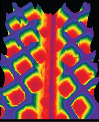 Anilox Scoring What, Why, and How