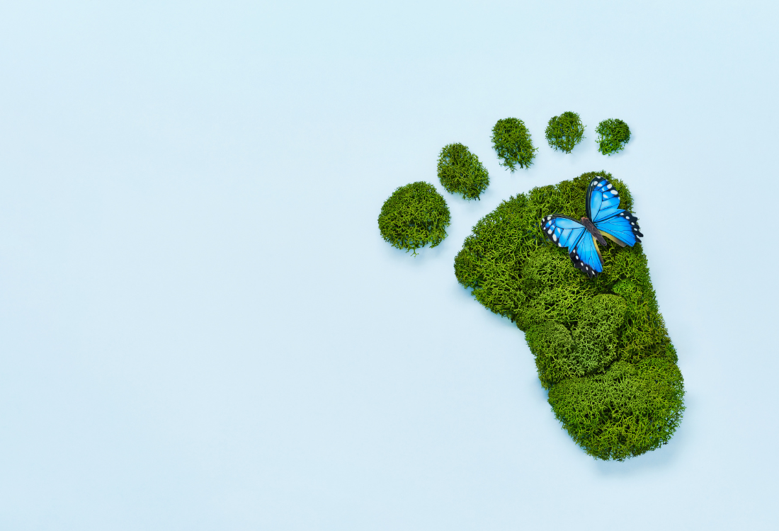 A green footprint representing whether your print business supports sustainable packaging solutions