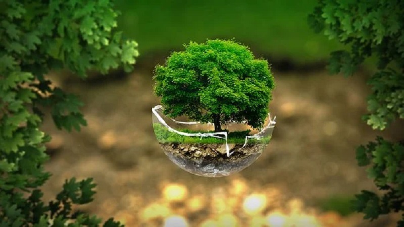 How Can I Make my Printing Processes Environmentally Friendly?